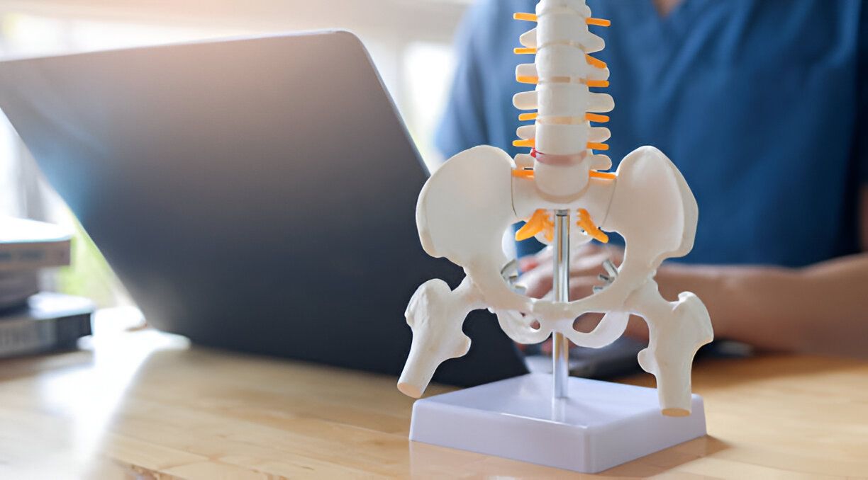 close up human skeleton at lower back and physical therapist chiropractor uses laptop